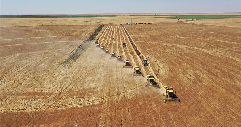 TÜİK verileri açıkladı! Aralık ayı tarım enflasyonu belli oldu