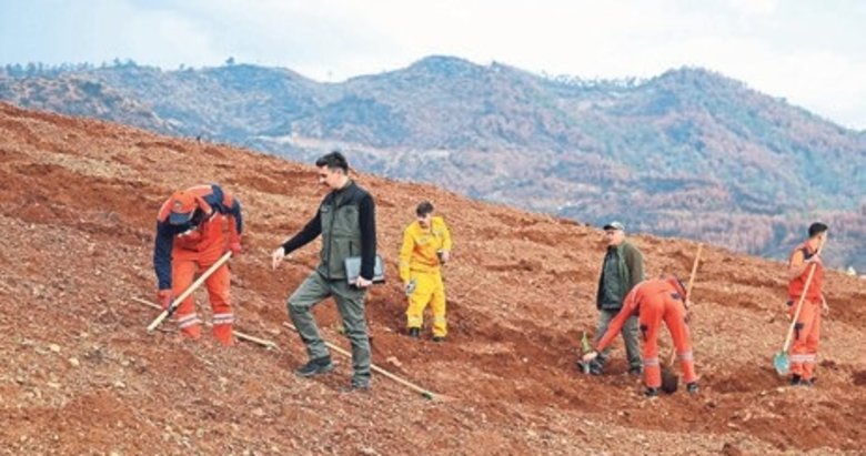 Binlerce fidan toprakla buluşturulacak