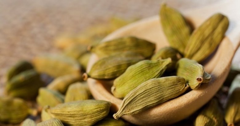 Kakule bitkisinin faydaları nelerdir?