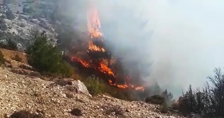 Muğla Seydikemer’de orman yangını! Ekipleri alarma geçirdi