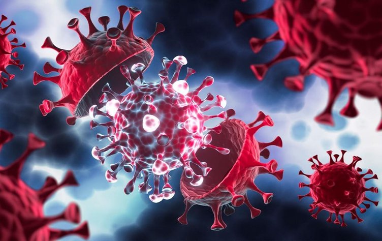 Nipah virüsü nedir, belirtileri nelerdir? Türkiye’de var mı?