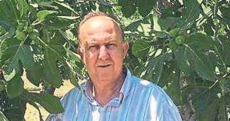 Tireli incircilerin yüksek rekolte beklentisi