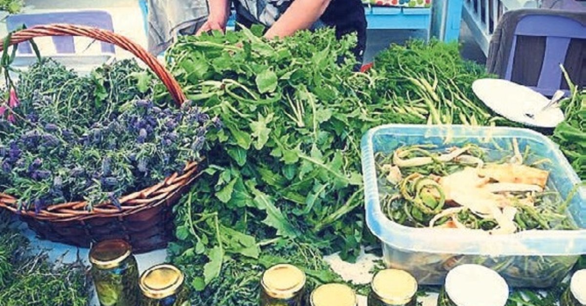 Urla’da doğadan sofraya uzanan festival başlıyor