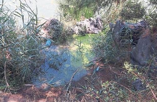 Festivalin itibarı, halk sağlığından önemliymiş!