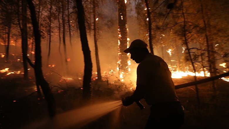 Aydın Bozdoğan alevlere teslim! Alevler Muğla’ya dayandı