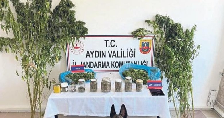 Aydın’da emniyet güçleri zehir tacirlerine geçit vermiyor
