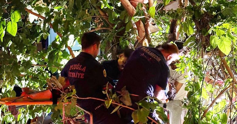 Ağaçta asılı kalan yaralı adamı itfaiye kurtardı