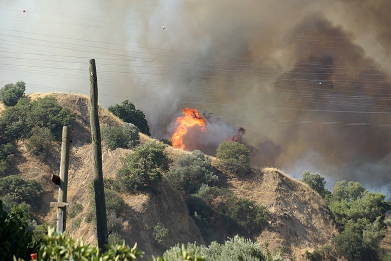 Aydın’da ormana sıçrayan yangına havadan da müdahale ediliyor
