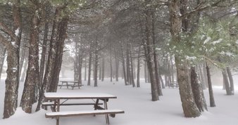 Hamza Dağ’ın vaatleri CHP’yi korkuttu! Soyer kendi sonlandırdığı uygulamayı yeniden hayata geçirdi