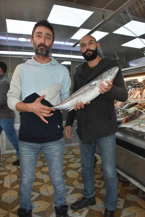 Balık alırken dikkat! Palamut, torik ve tombik balıklarından nasıl ayırt edilir?