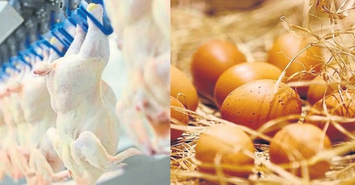 Tavuk etinde rekor artış