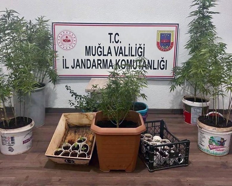 muglada-15-yil-hapis-cezasi-bulunan-firari-ormanda-yakalandi-1690896925363.jpg muglada 15 yil hapis cezasi bulunan firari ormanda yakalandi 1690896925363