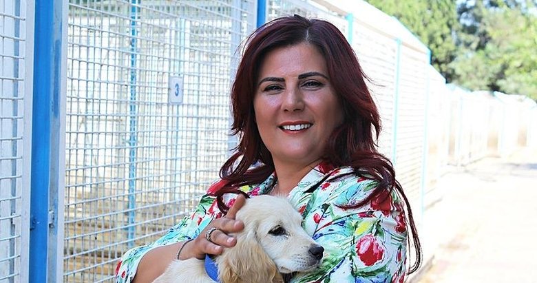 Çerçioğlu yeni projenin müjdesini verdi: Can dostlara yeni yaşam alanı geliyor