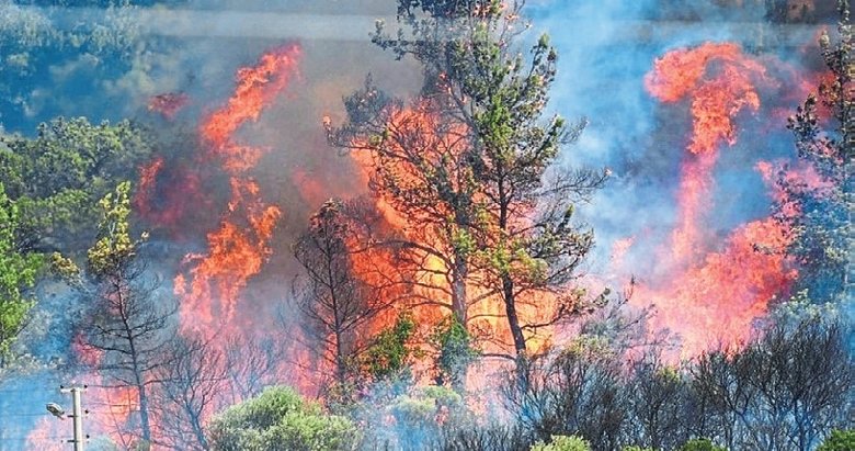 2025’te en çok İzmir’in ormanları yandı