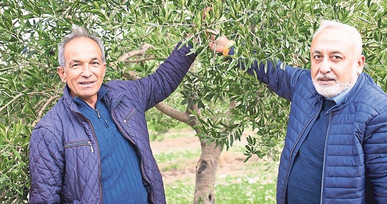 Ürettiği zeytinyağıyla bütün ödülleri topladı