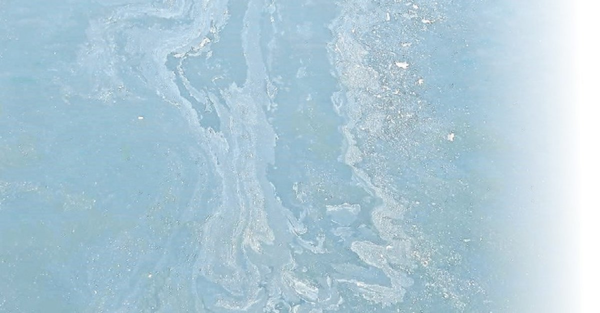 İzmir Körfezi’ne büyük ihanet