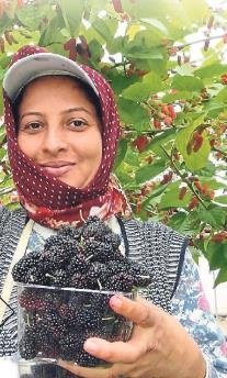 Mevsimlerden karadut