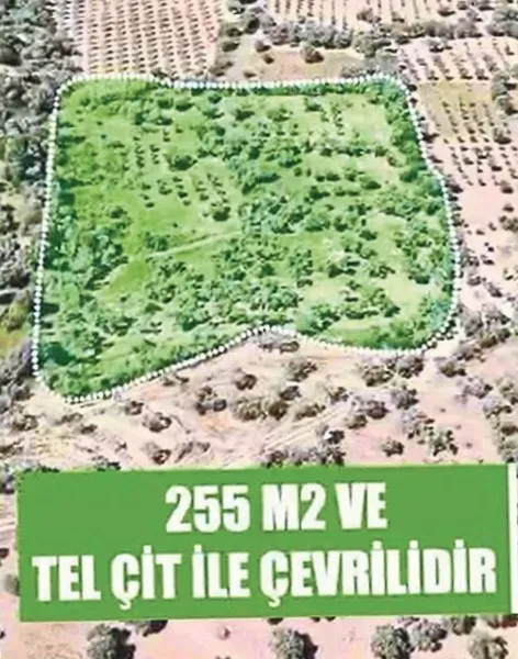 izmirde-cazip-fiyatli-ucuz-arsa-ilani-vatandaslar-sosyal-medyada-satilik-arazi-tuzagina-kandilar-1793301607173.jpeg