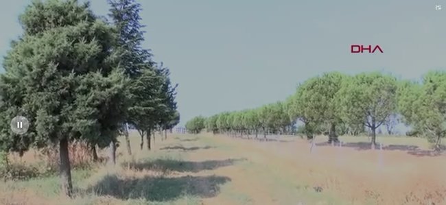 İnternet fenomeninden kötü haber geldi! 8 aydır aranan Yunus Dönertaş’ın kemikleri bulundu