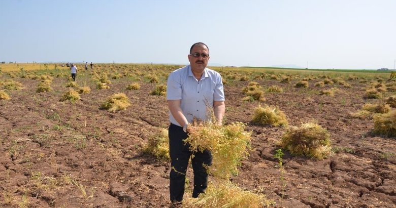 Denizli’de boş kalan araziler üretime kazandırılacak