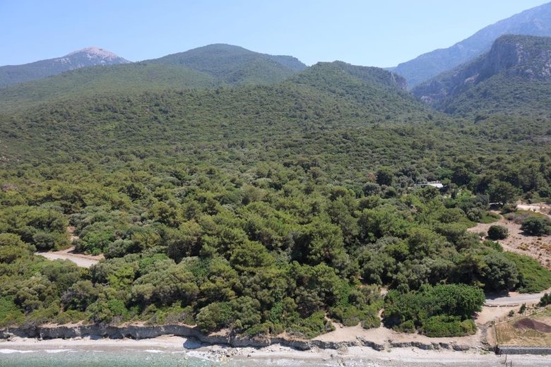 Aydın Valiliği’nden önlemli karar: Ormanlık alanlara girişler yasaklandı