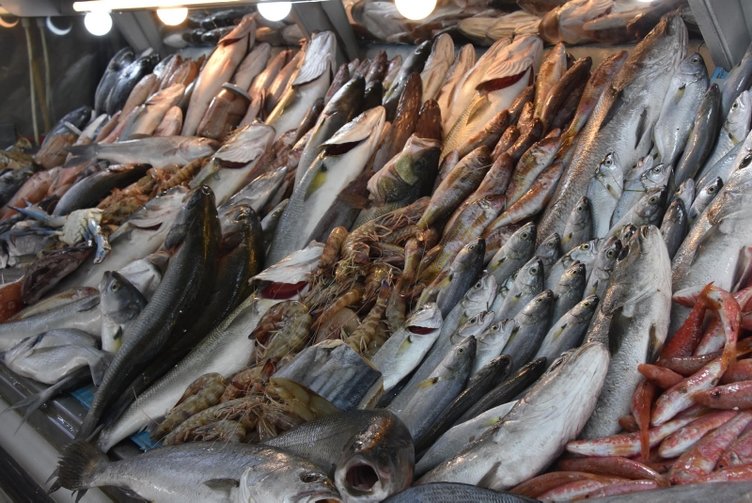 Balık alırken dikkat! Palamut, torik ve tombik balıklarından nasıl ayırt edilir?