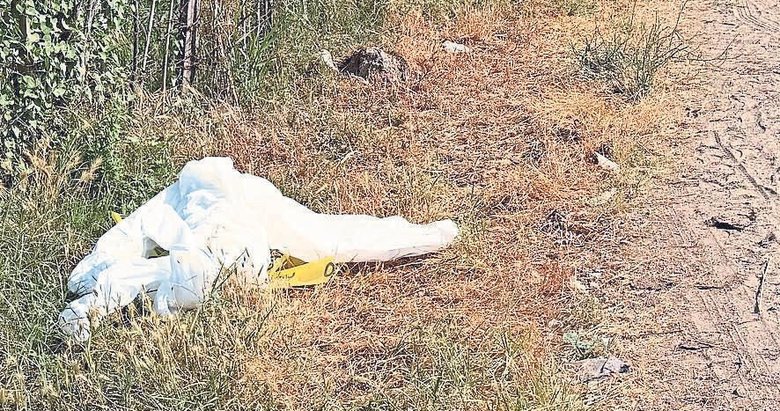 Aydın’da eniştesini tornavidayla acımasızca öldürdü