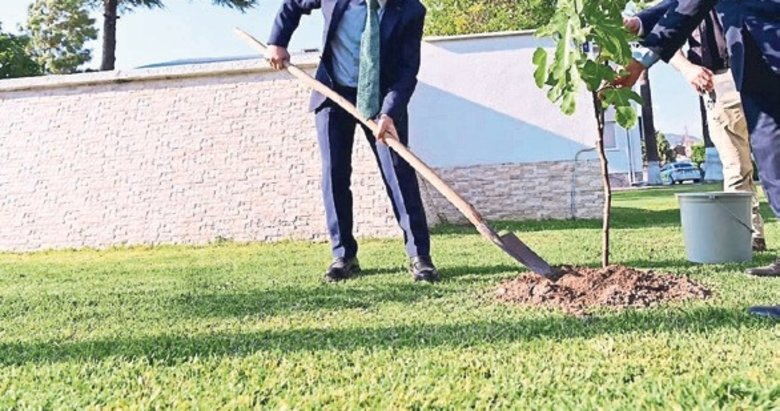 Vali Varol incir fidanlarını toprakla buluşturdu