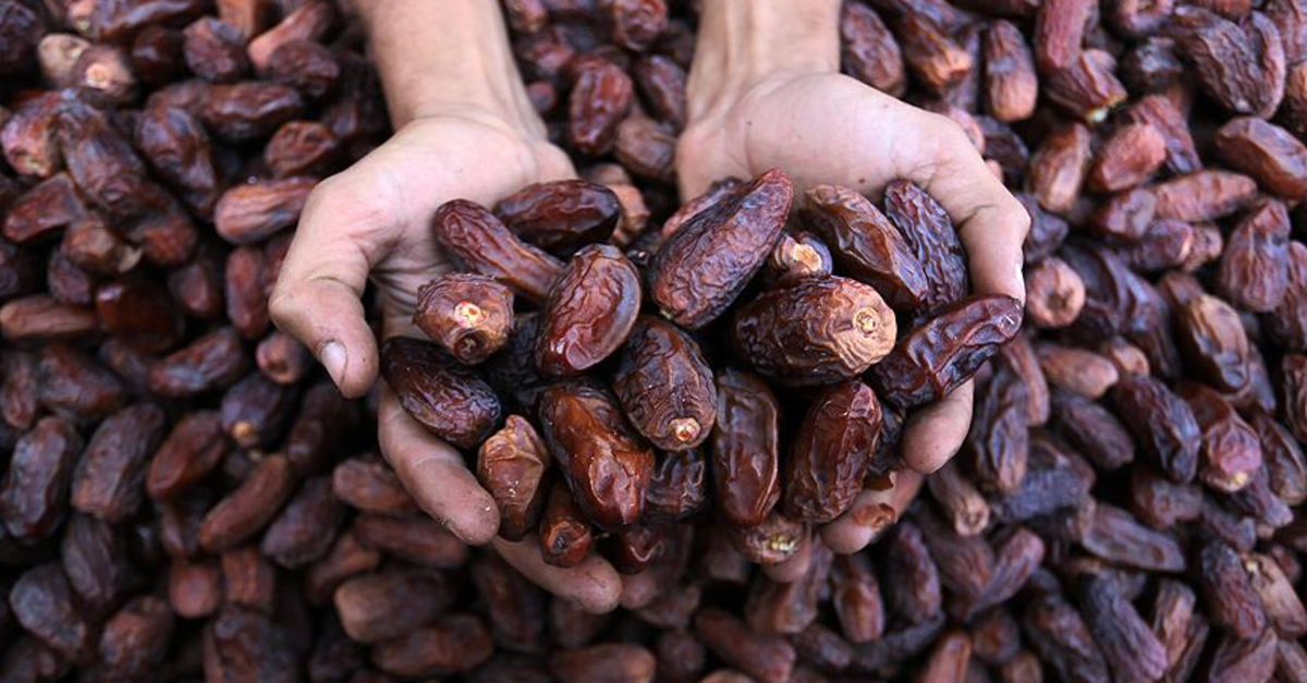 Hurma tezgahta yerini aldı: Alırken bunlara mutlaka dikkat edin…