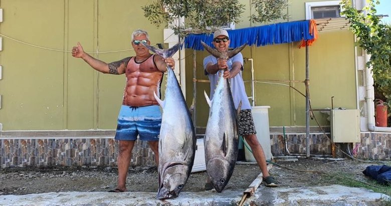 Urla’da amatör balıkçıların oltasına takılan dev orkinoslar kamerada