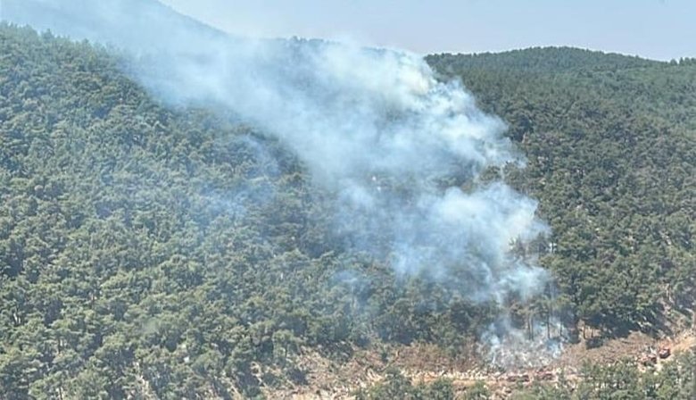 Son dakika: Manisa’da orman yangını
