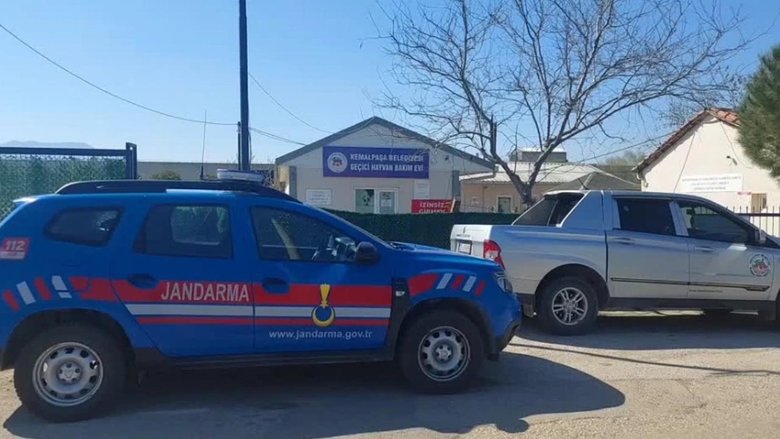 Barınaktaki ölü köpek görüntülerine sert tepki