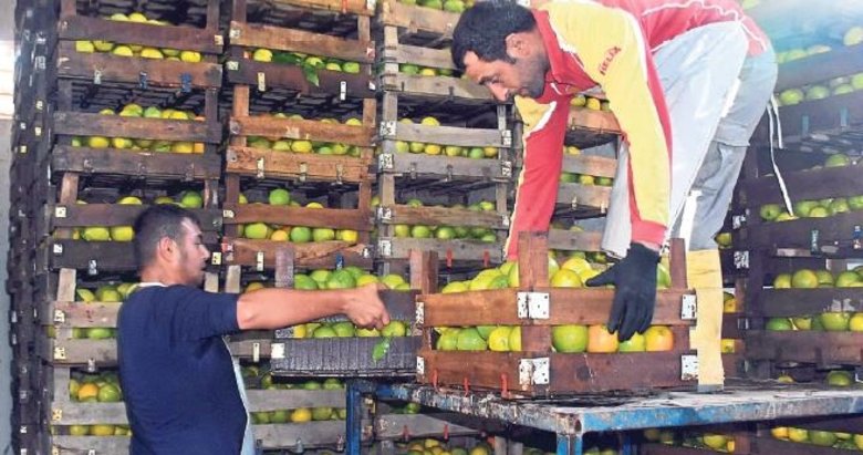 Meyve sebzede ihracat sevindirdi