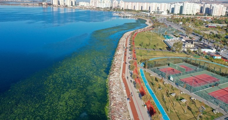 Deniz marulları İzmir Körfezi’ni yeşile bürüdü