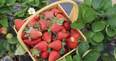 İzmir’de heyecanlı anlar!