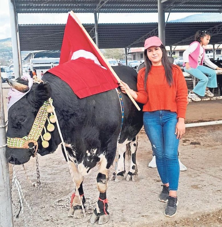 Pehlivan boğaların kaderi