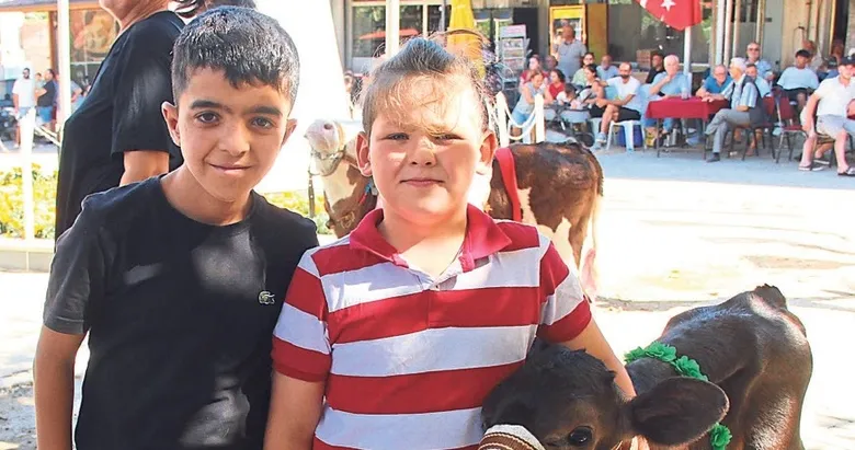 Muğla’nın en güzel buzağısı seçildi