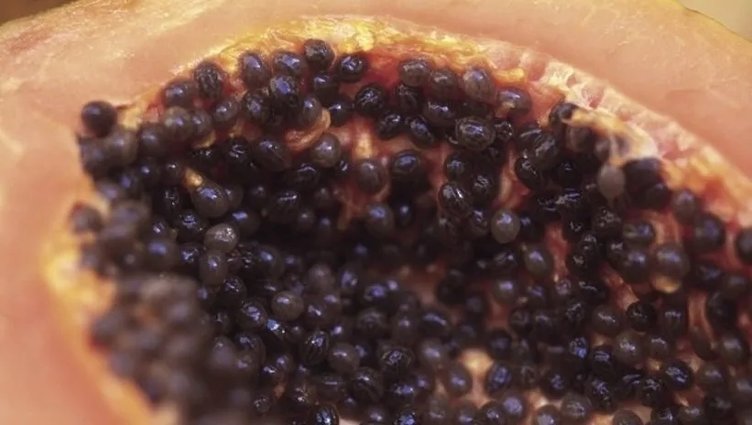 Bağırsaklarınız tembel mi? Kabızlık sorunu mu yaşıyorsunuz? Bu besinler tam da size göre...