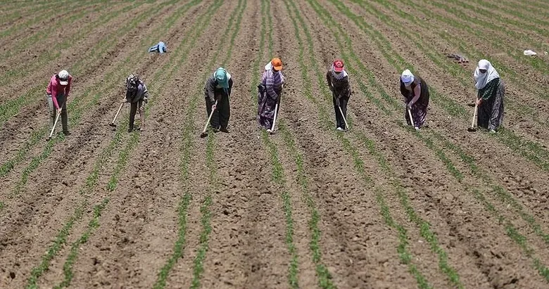 Aydın’ın 17 ilçesinde çiftçi buluşması