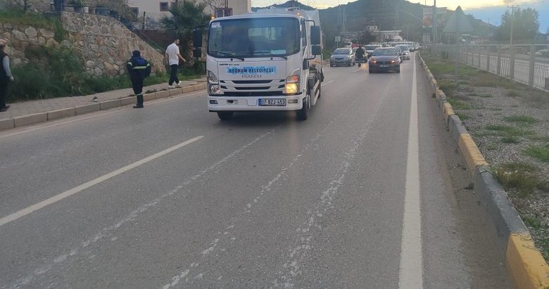 Köpeğin havlamasından korkunca yola fırladı, kamyonun altında kaldı