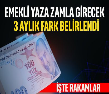 Emekli yaza zamla girecek