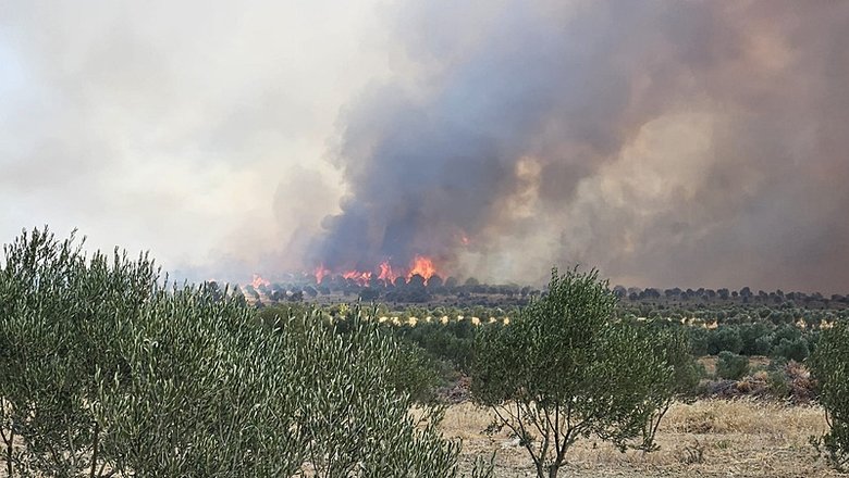 Çanakkale Gelibolu’daki yangın 2. gününde! Tahliye edilen köylerle ilgili yeni gelişme var