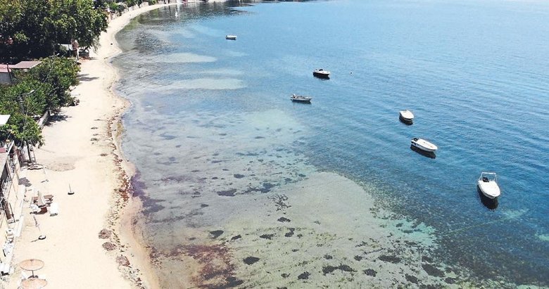 ‘Marmara Denizi oksijen krizine doğru ilerliyor’