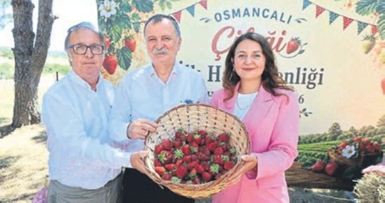 Osmancalı çileğinin ilk hasadı şenlikle yapıldı