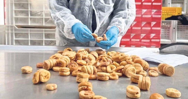 Tonlarca incir sınırdan geri döndü