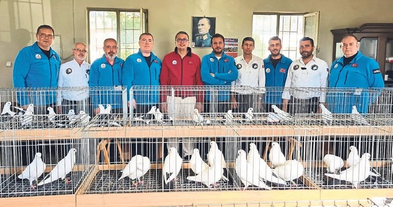Denizli azman güvercinleri güzellikleriyle mest etti
