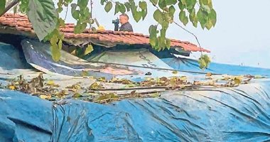 Aydın’da 80 yaşındaki Necla Nine çatıdan düştü!