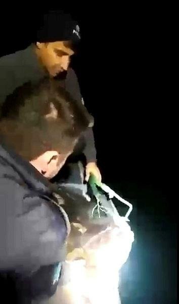 İzmir’de kaçak deniz patlıcanı avlayan 5 kişiye para cezası kesildi