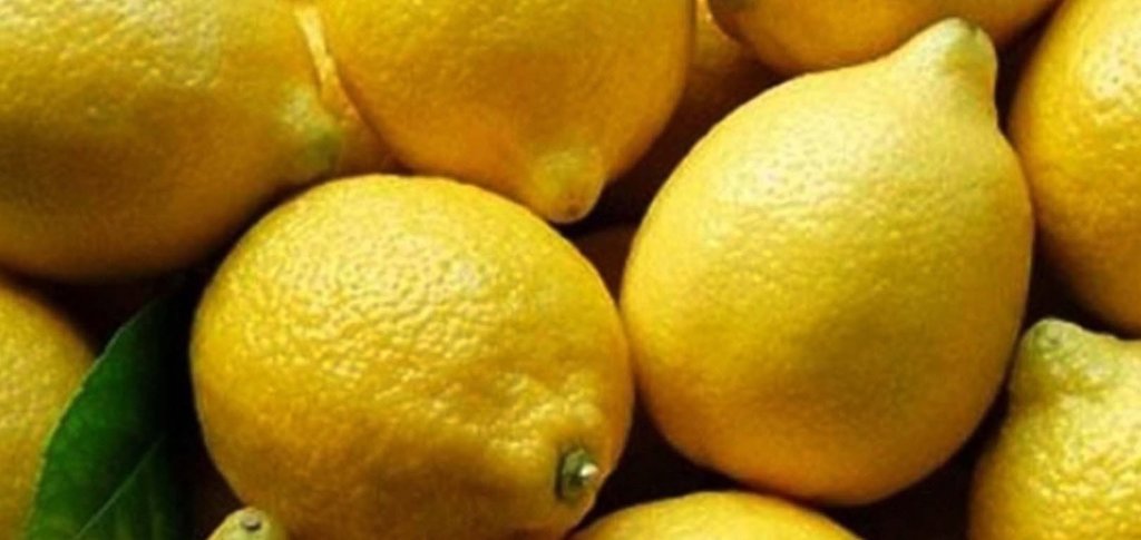 Limon dilimleri ile uyumanın etkileri inanılmaz