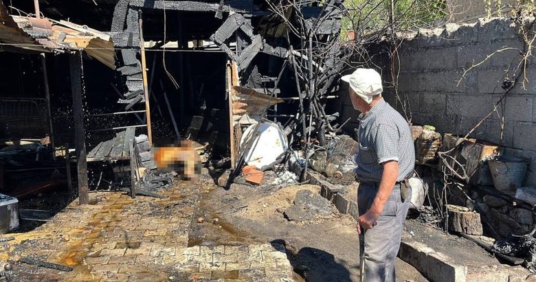 Çanakkale’deki yangında 26 hayvan telef oldu
